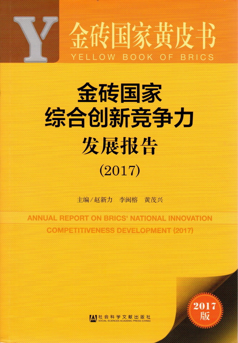 国内操屄高清影院金砖国家综合创新竞争力发展报告（2017）